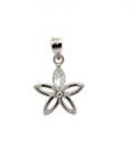 Pendent